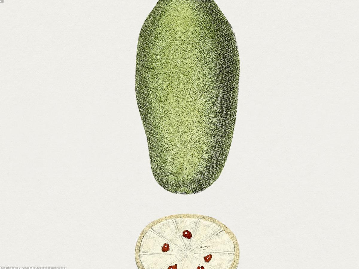 Poudre de Baobab Naturelle