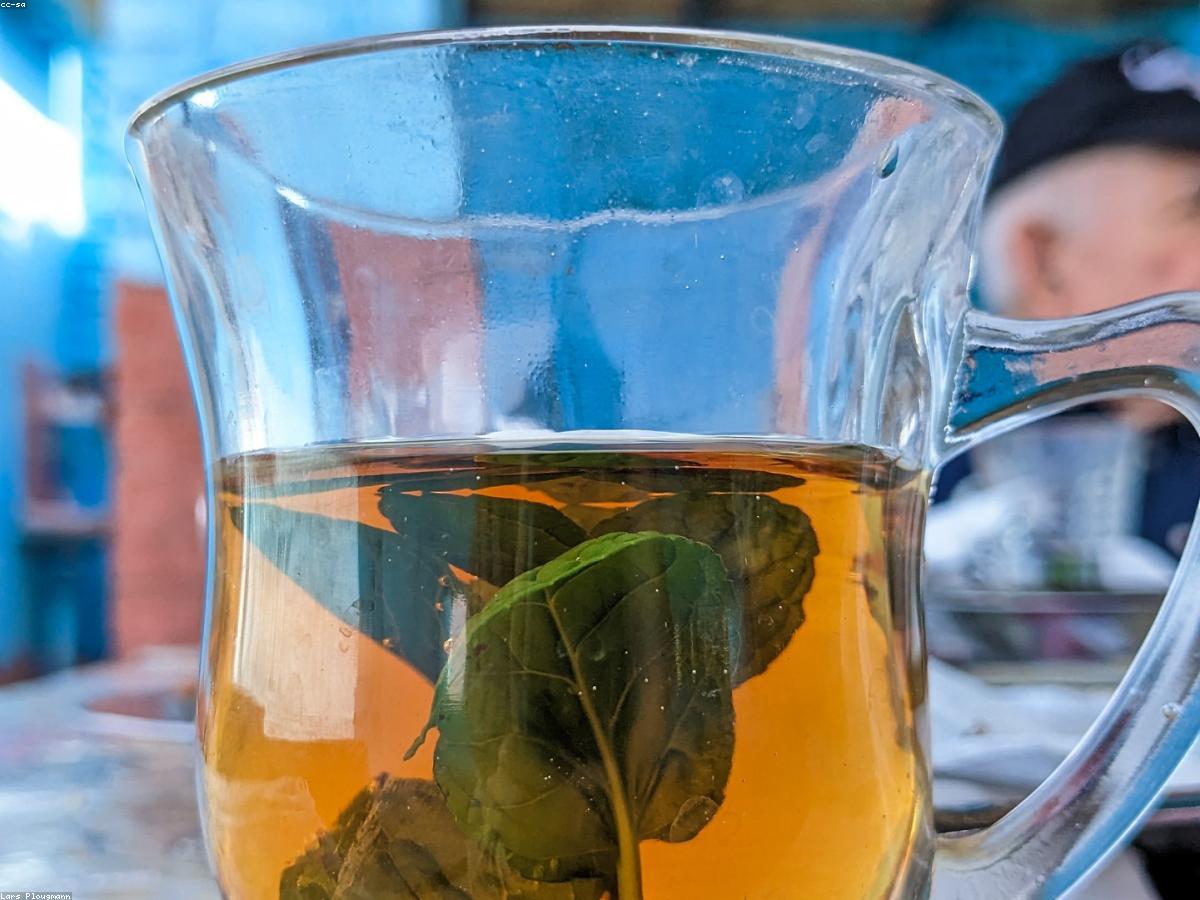 The Menthe Fraiche